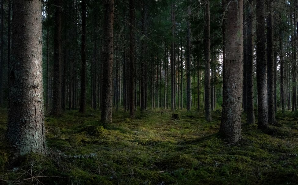 В Чувашии готовятся к пожароопасному сезону 2023 года