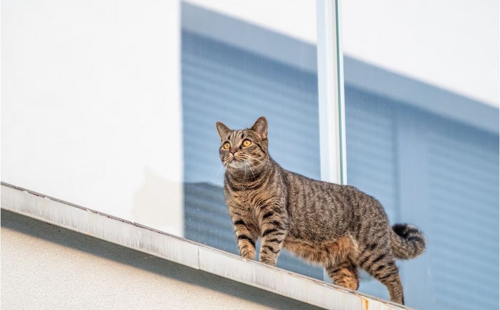 Тимофей Весновей несет в Чувашию тепло