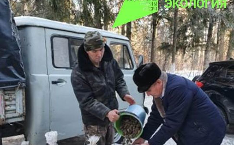 В Чувашии собрали 300 кг шишек