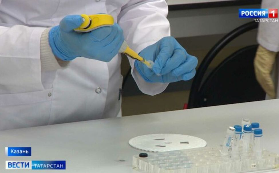 После инцидента в Чувашии татарстанцам не рекомендуют покупать мясо в сомнительных местах из-за сибирской язвы