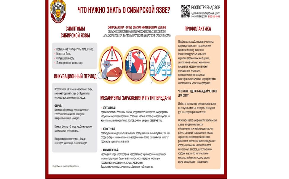 В Чувашии закупают сибиреязвенную вакцину