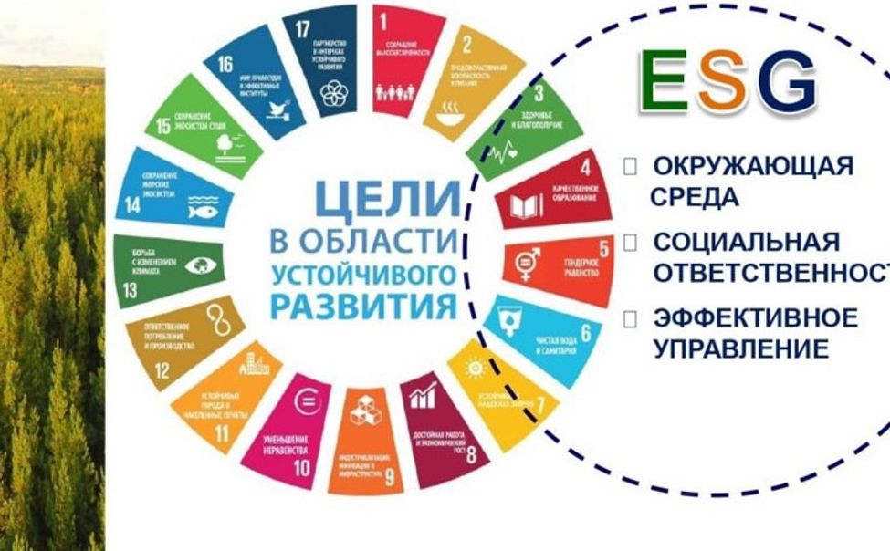 В Чувашии утвердили концепцию и портфель проектов устойчивого развития республики