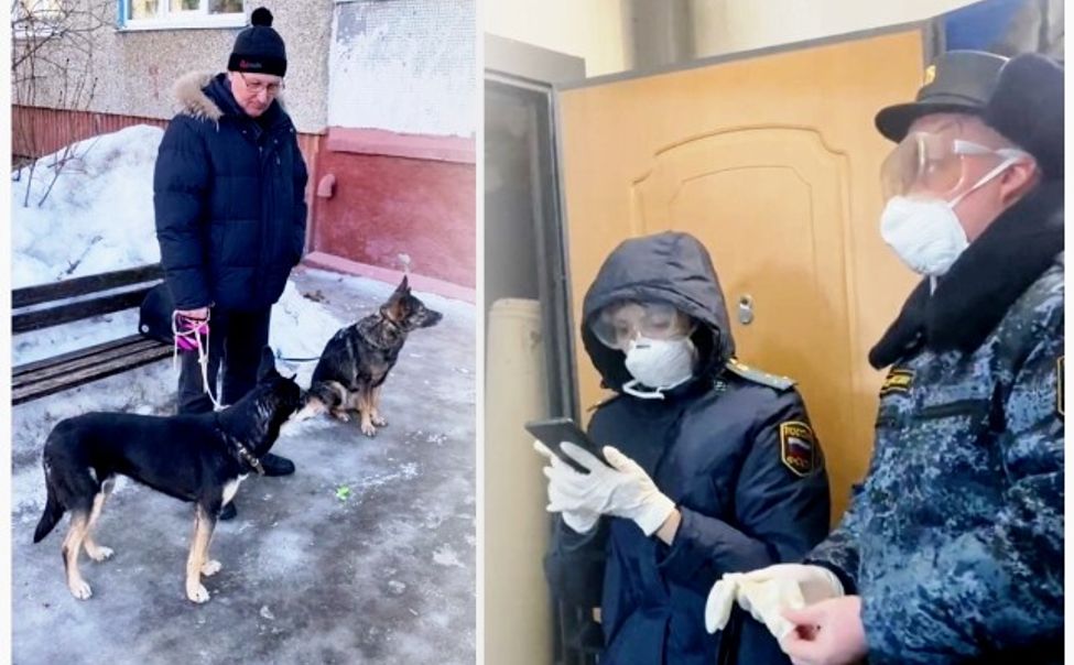 Новочебоксарцы превратили свою квартиру в собачий туалет