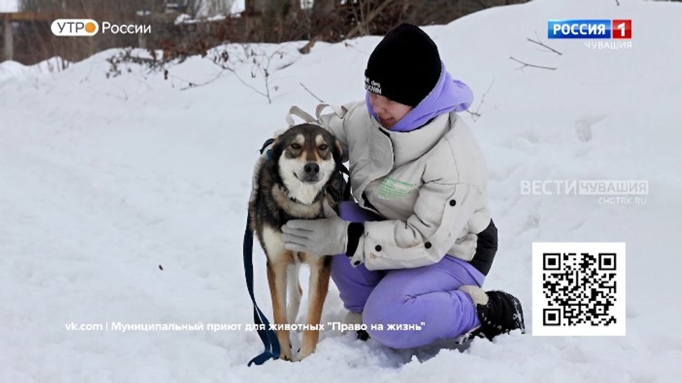 Проект "Найди друга". №49. Капа