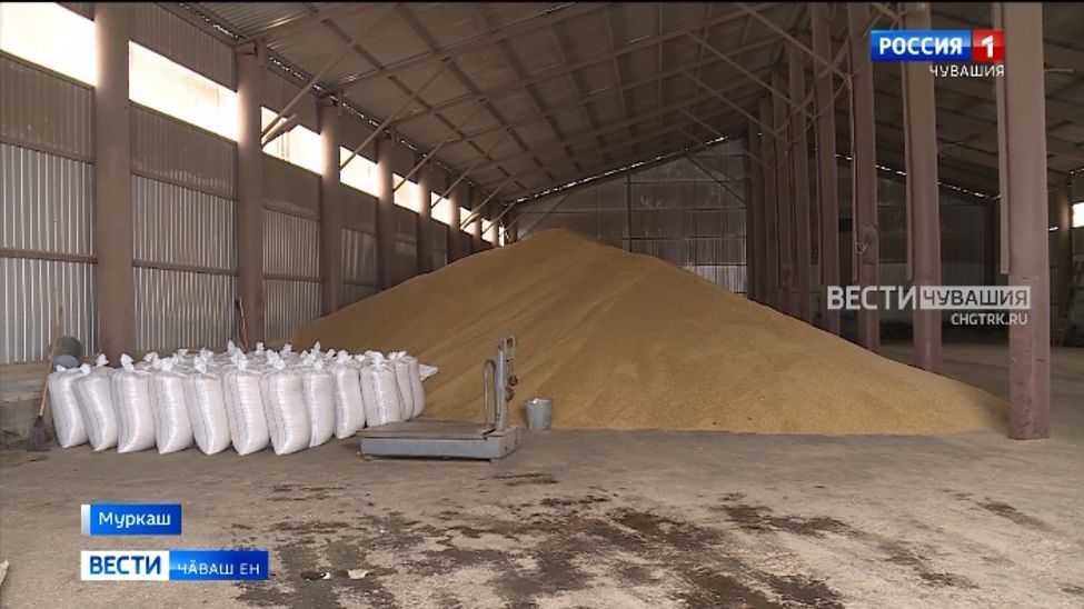 Республикӑри хуҫалӑхсем тӑрӑшсах ҫуракине хатӗрленеҫҫӗ