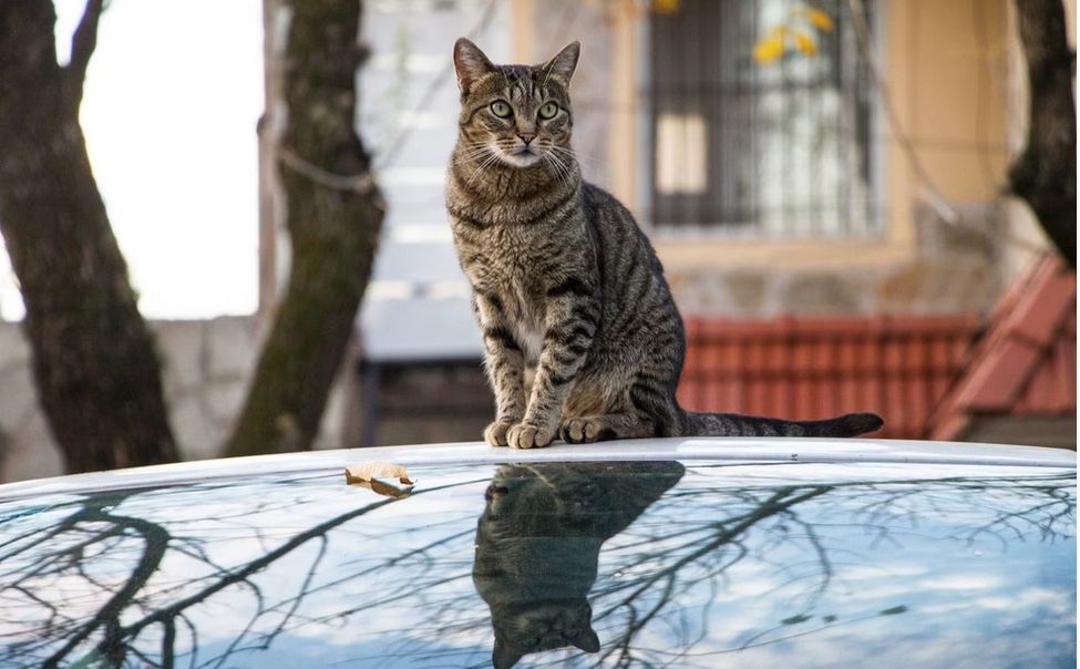 В Чувашии на неделе будет тепло и дождливо