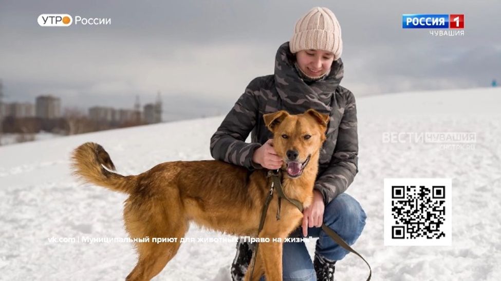 Проект "Найди друга". №50. Емеля