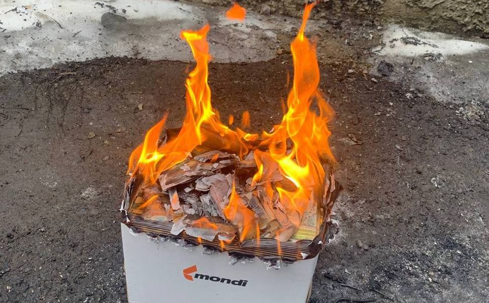 В Чувашии сожгли партию семян зараженного сладкого перца