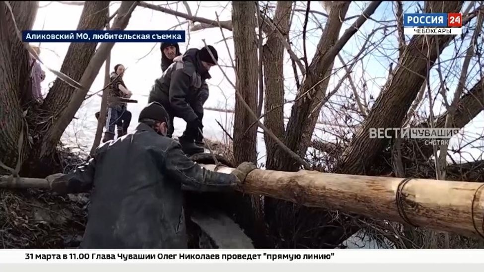 Неравнодушные жители деревни Татмыши Аликовского округа самостоятельно очистили пруд