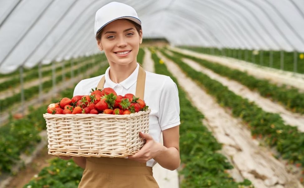 В Чувашии действуют более 70 мер поддержки АПК