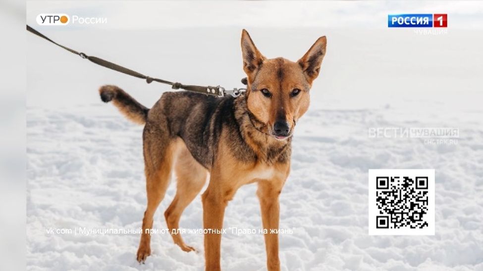 Проект "Найди друга". №51. Айгуль