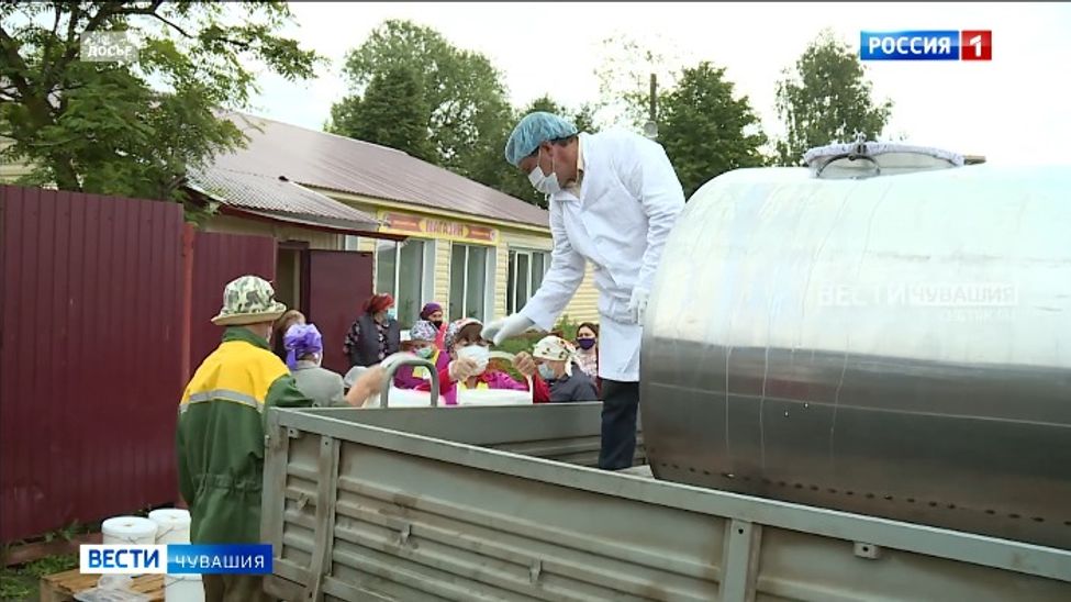 В Чувашии за год средняя цена на молоко из ЛПХ рухнула на 21%