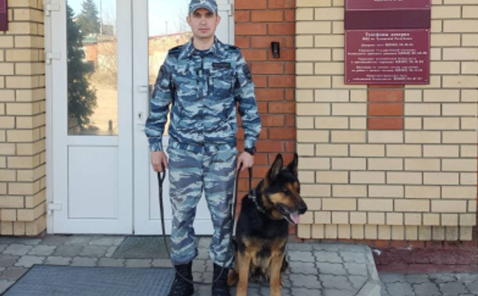 В Чувашии служебный пёс Агат помог раскрыть кражу