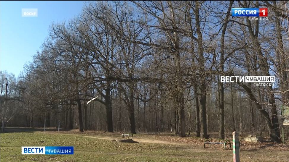 Чебоксарцы примут участие в общероссийском голосовании по выбору дизайн-проекта для общественных территорий