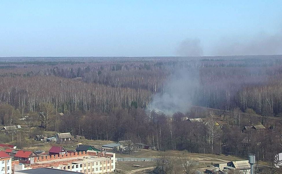 В Чувашии на границе с заповедником "Присурский" произошел пожар