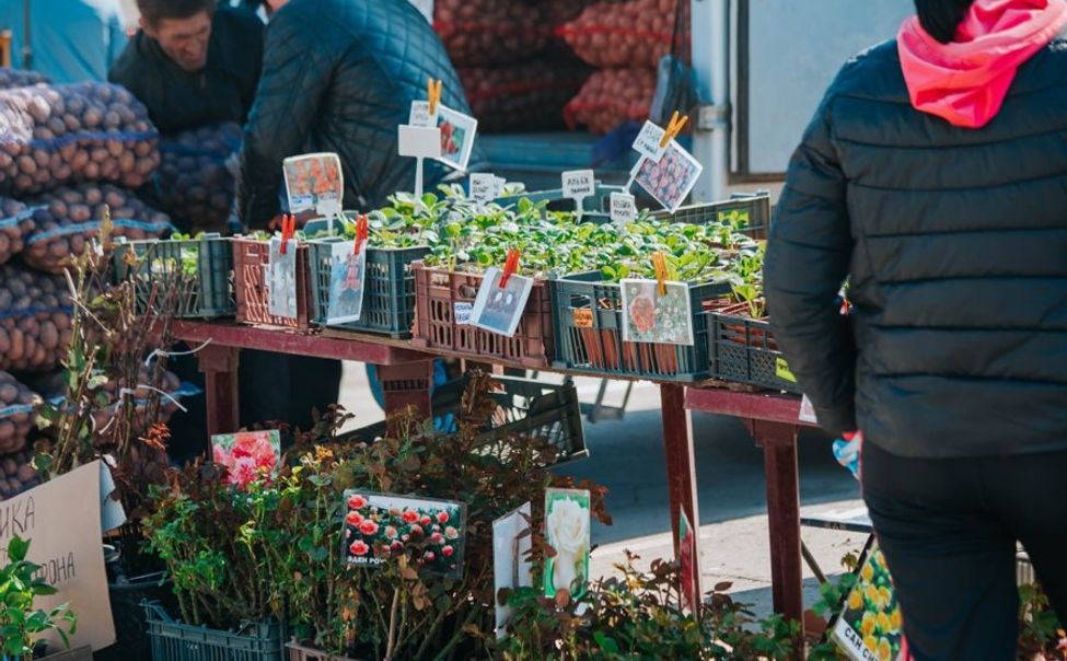 Фермеры Чувашии представят натуральную продукцию на весенних ярмарках в Чебоксарах