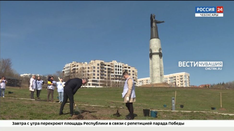 В Чебоксарах у монумента Матери высадили аллею из гортензий
