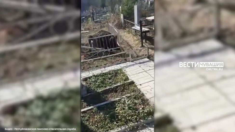 На чебоксарском кладбище кабан застрял в ограде могилы и сломал ногу