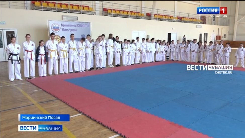 В Чувашии состоялся открытый республиканский турнир по тхэквондо ГТФ