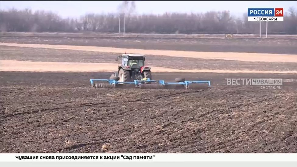 Аграрии Чувашии посеяли почти 120 тысяч гектаров яровых зерновых и зернобобовых культур