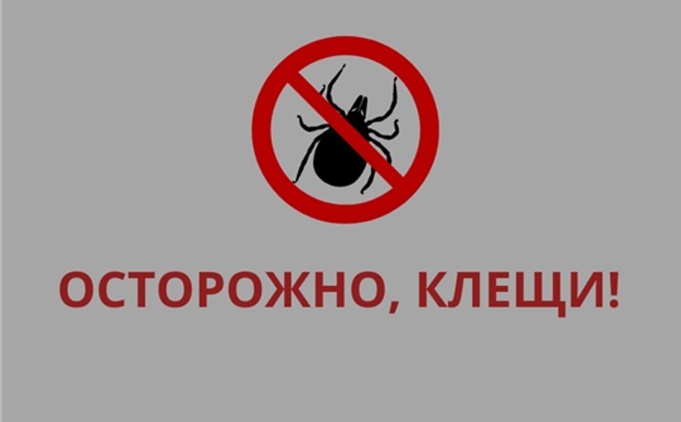 Жителям Чувашии напоминают об опасности клещей