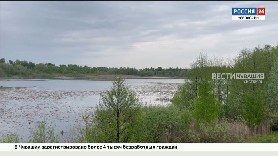 В Чувашии очищают русла реки Суры