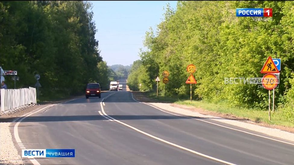 Меньше чем за две недели в Чувашии сбили 6 лосей