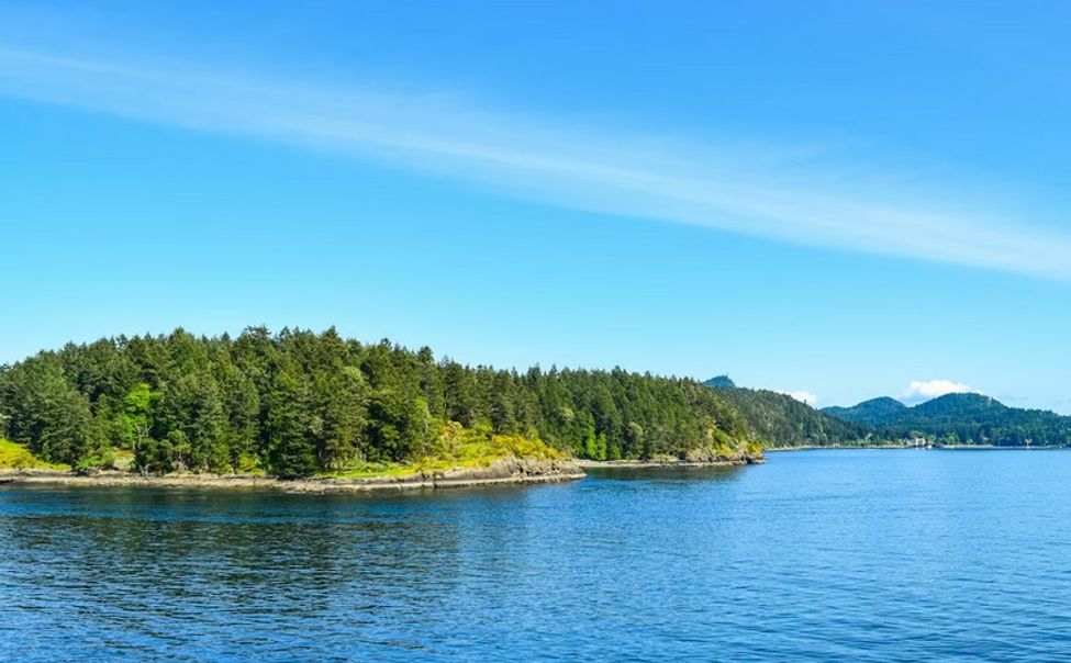 Жителей и гостей Чувашии приглашают на речные прогулки