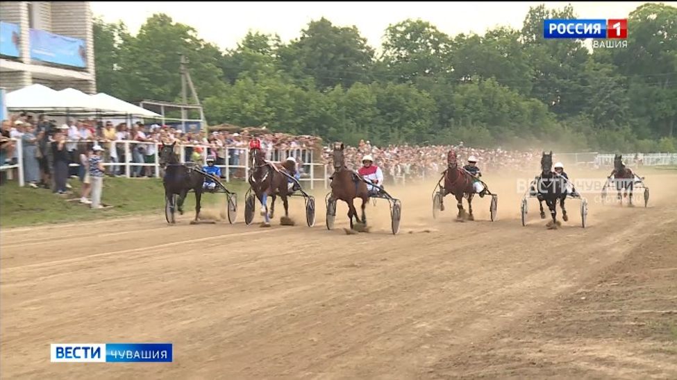 Призовой фонд Кубка Главы Чувашии по конному спорту составляет 2 млн рублей