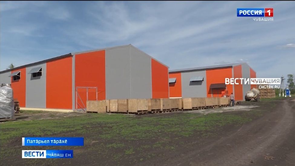 Патӑрьел тӑрӑхӗнче чипс кӑларма пуҫласшӑн