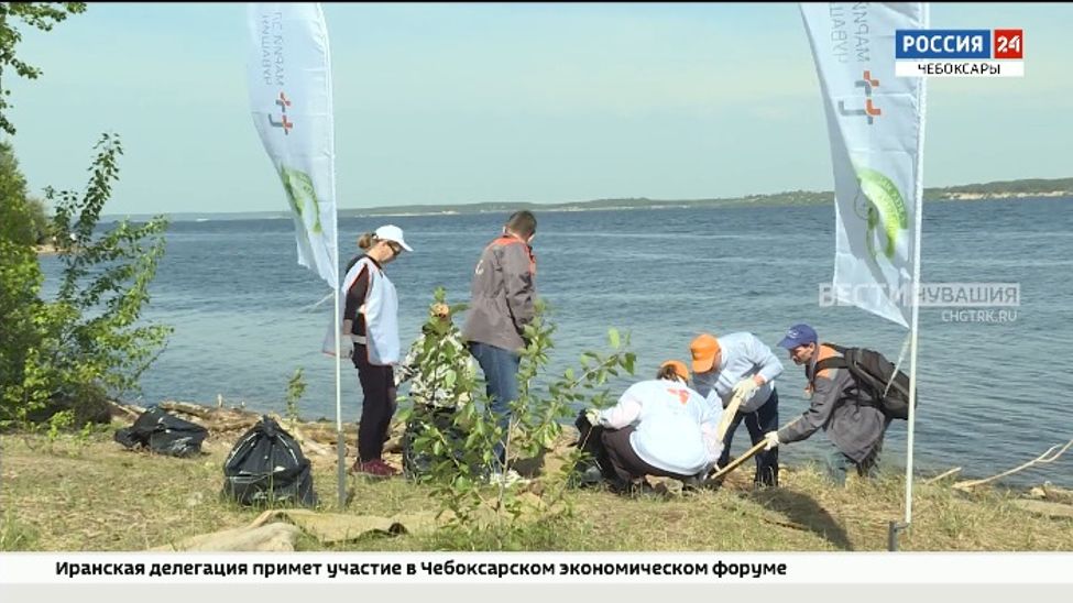 Чувашские энергетики очистили от мусора берега Волги