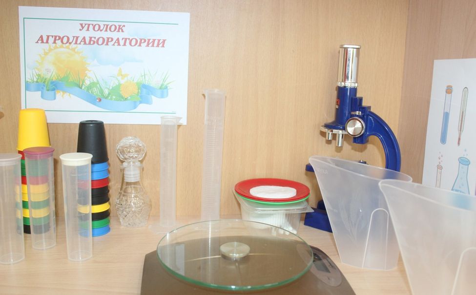 В канашском детсаду открылась агролаборатория  