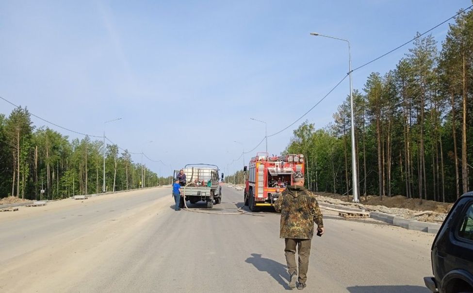 В Ибресинском лесничестве оперативно ликвидировали лесной пожар