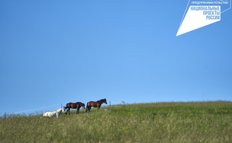 В Чувашии 76 фермеров поборются за грант «Агростартап» 