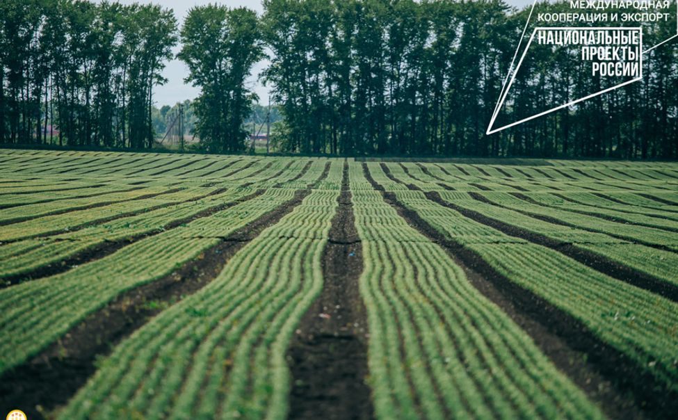 Чувашия нарастила темп экспорта продукции АПК на 40%