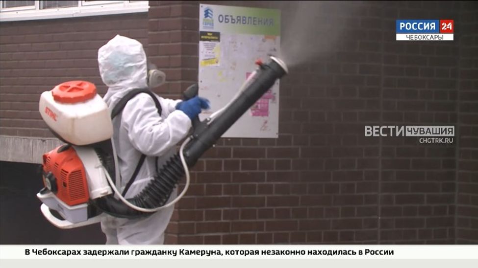 Чебоксарам из-за нашествия «лютых» комаров требуется повторная дезинсекция