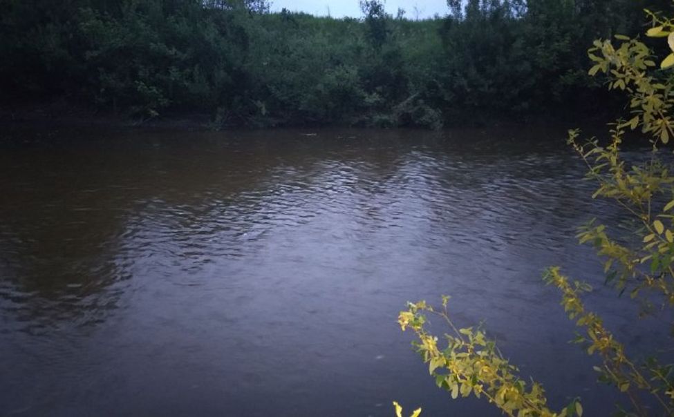 В Канашском округе утонули три девочки