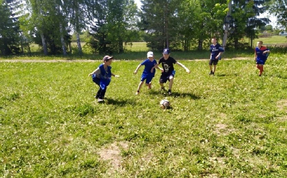 В Чувашии в Дне здоровья и спорта приняли участие более 53 тысяч человек