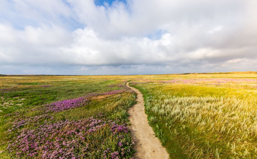 Сергей Артамонов провел экскурсию для школьников 