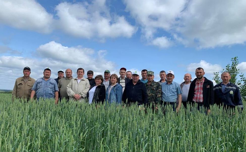 В Шемуршинском округе прошел смотр полей