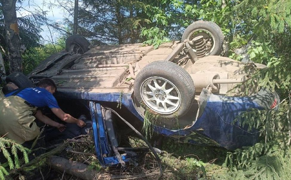 В Козловском округе произошло смертельное ДТП 