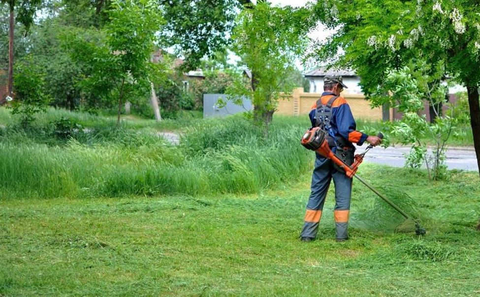 В Чебоксарах продолжается второй этап покоса травы