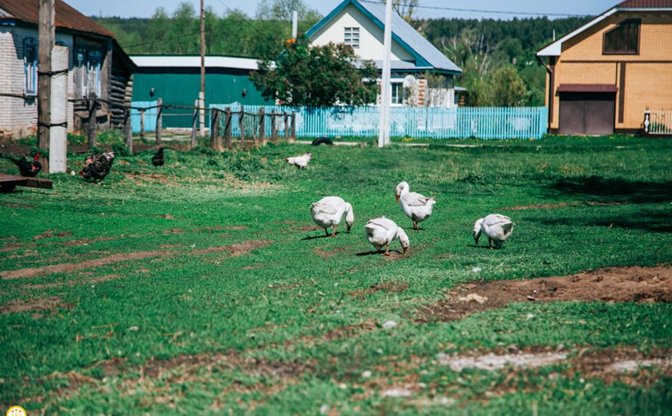 В Чувашии на сельскую ипотеку предусмотрено 20 млн рублей