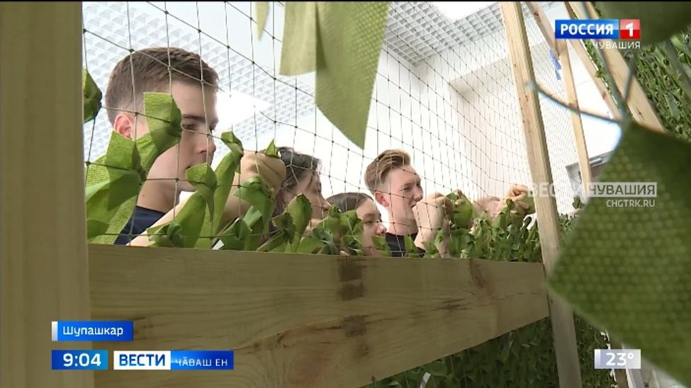 Кашниех салтаксене пулӑшма пултарать