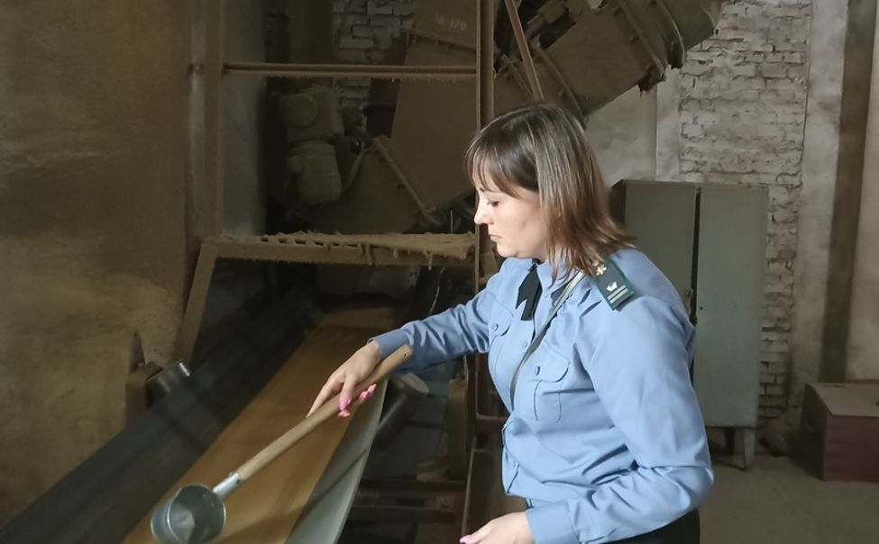 Экспорт чувашской растительной продукции в Казахстан вырос в 4 раза