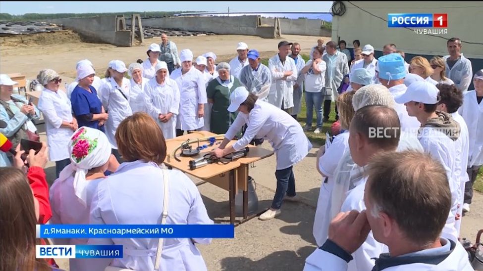 В Чувашии определили лучшего дояра