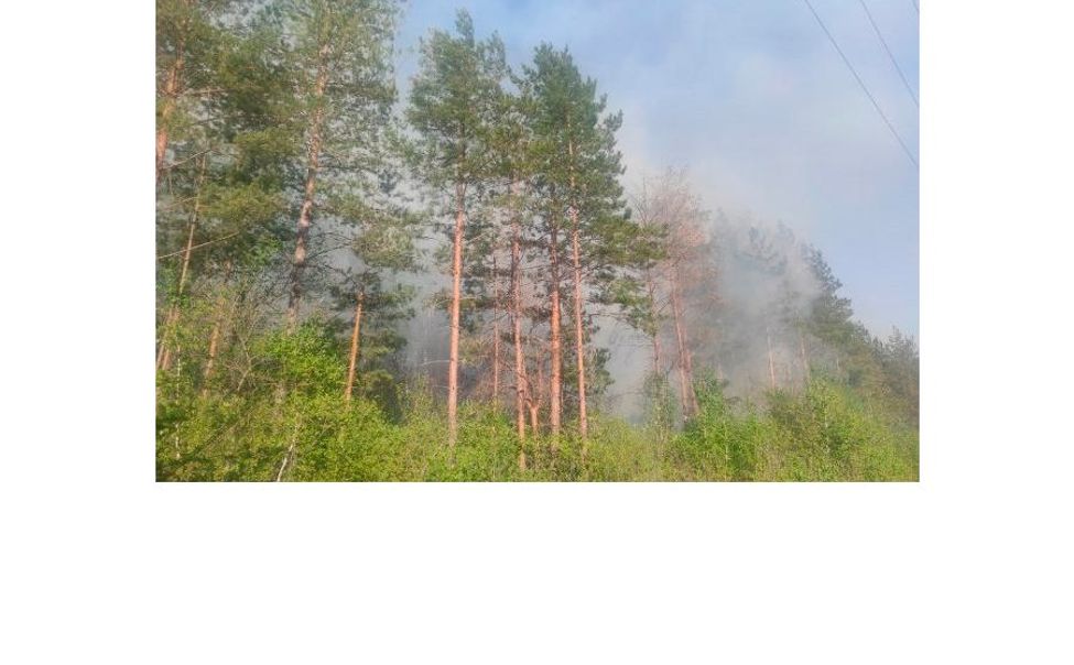 В Чувашии действует особый противопожарный режим