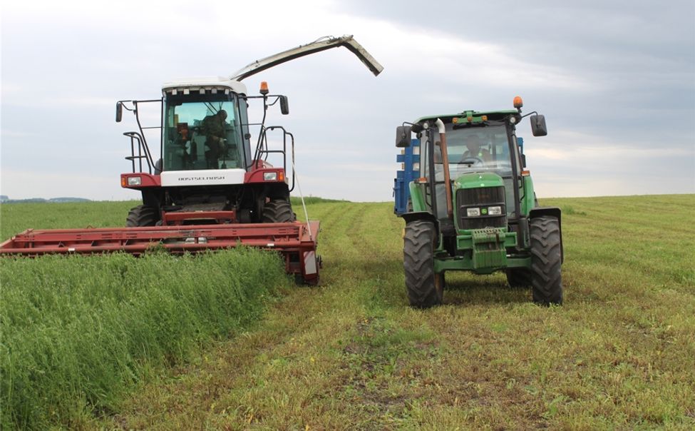 В Чувашии заготовку кормов завершили на 20%