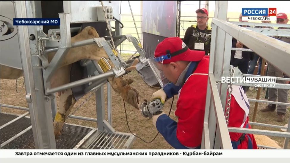 В Чувашии определили лучшего "копытчика" России