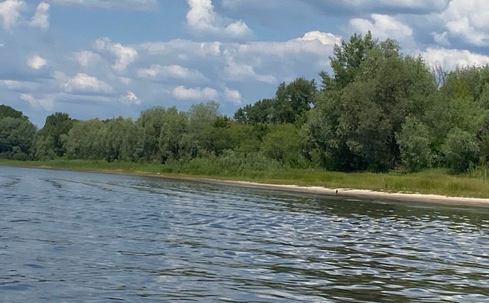 В Чувашии проинспектировали искусственные нерестилища